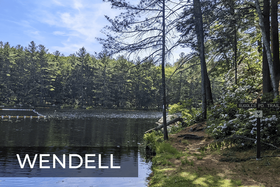 Wendell pond